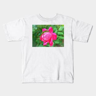 Baby Anole On Pink Rose Kids T-Shirt